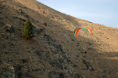 IMG_8872.jpg