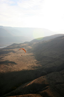 IMG_8938.jpg