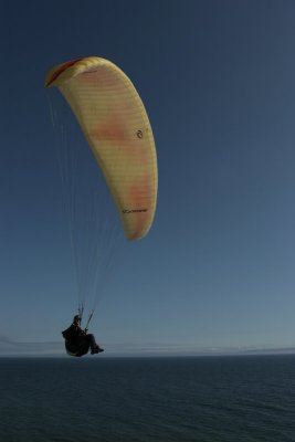 IMG_0509.jpg