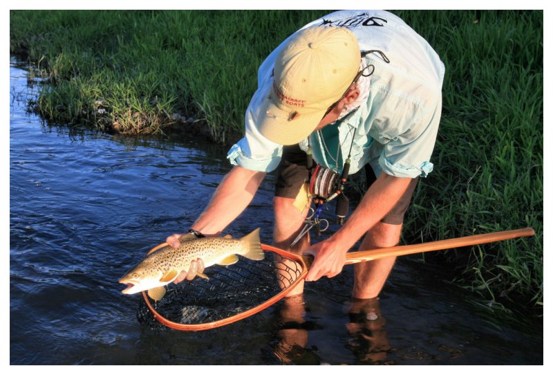 Downstream Brown