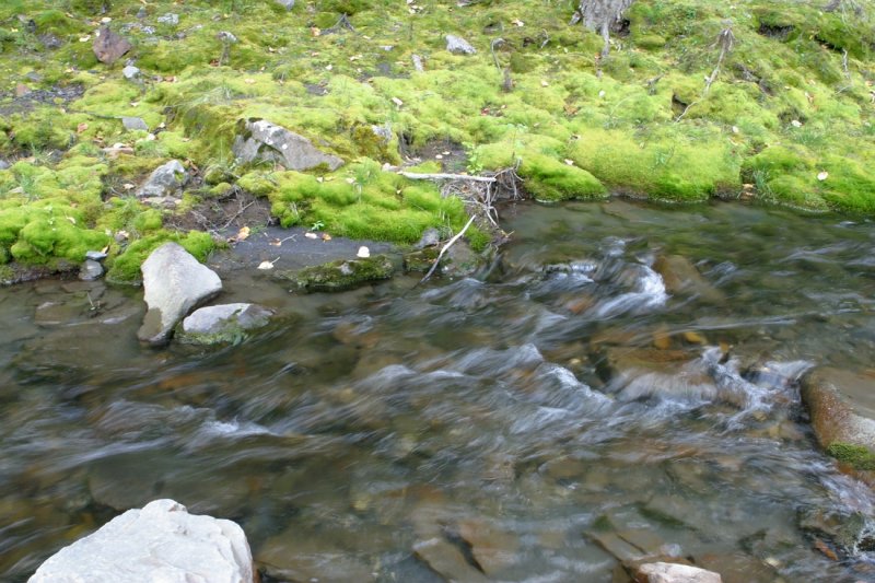 Sidechannel