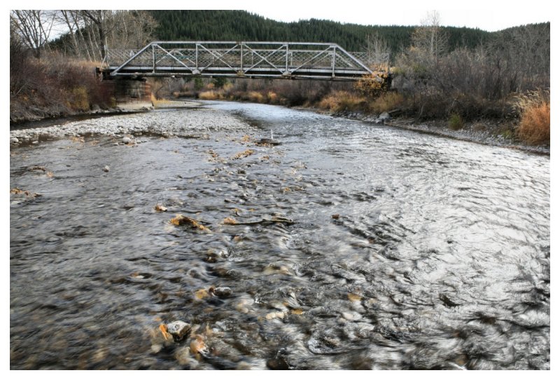 Burmis Bridge and Riffle