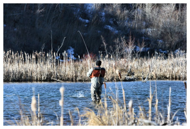 Glenn Angling