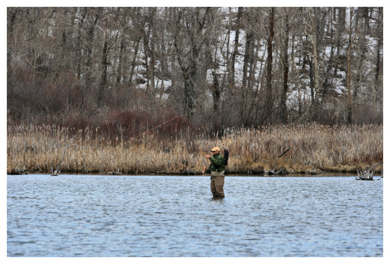 Wade Angling
