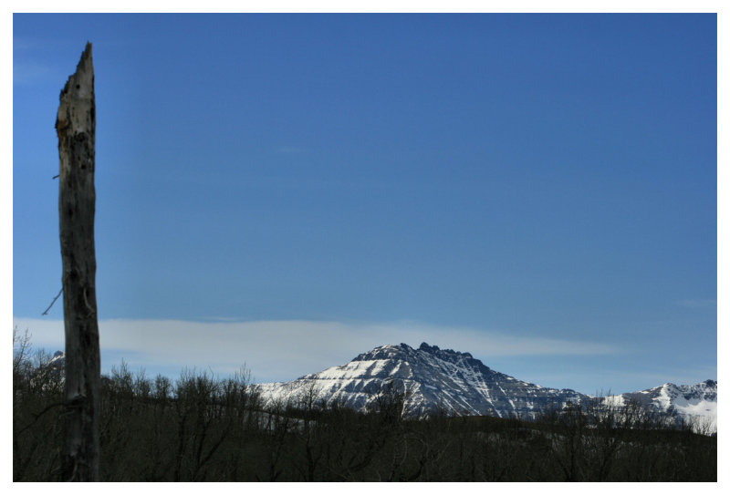 In the Distance