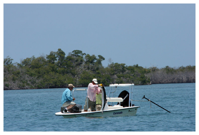 Rigo Holds Less Tarpon