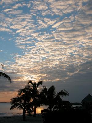 January 30, 2006 --- Abaco, Bahamas