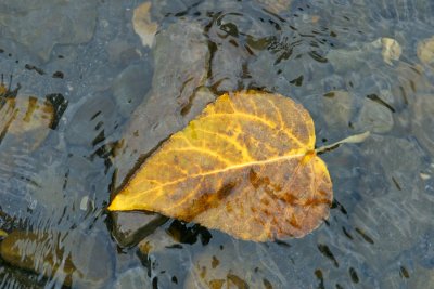 Autumn Approaches