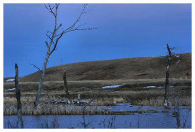 Dusk on the Ponds