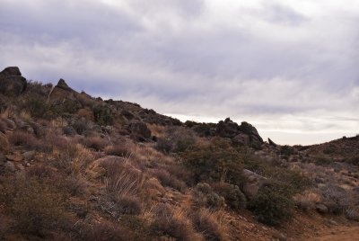 Chloride, AZ