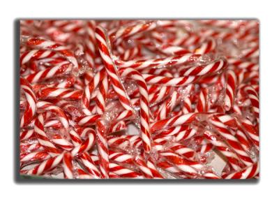 g3/19/375019/3/53025629.DSC_6389._candy_canes.600.jpg