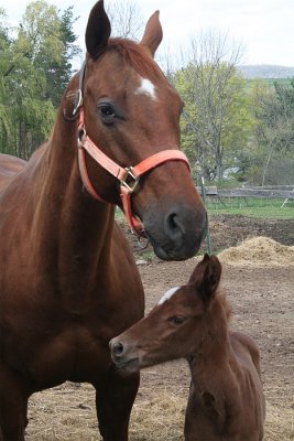 Mother and Son