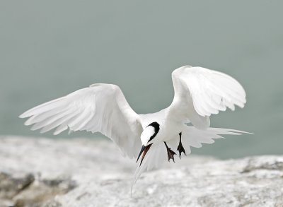 100-400mm