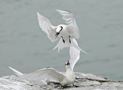 100-400mm