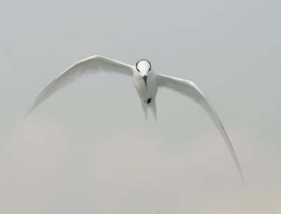 100-400mm