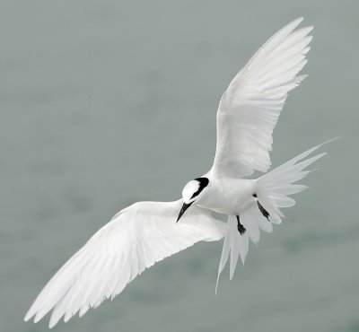 Landing