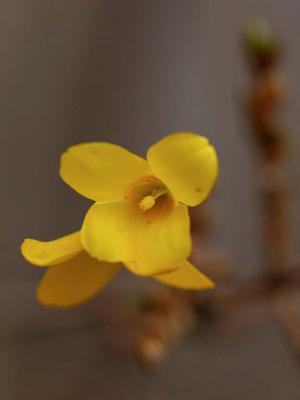 _DSC0174