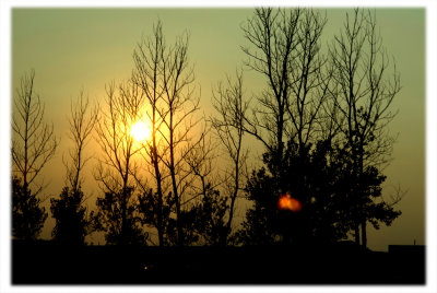 _DSC0009_rescale.jpg