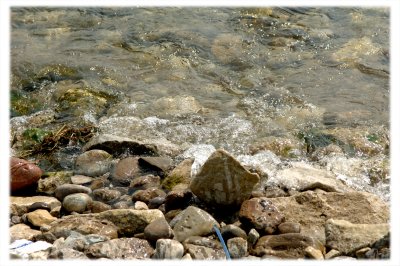 _DSC0116.jpg