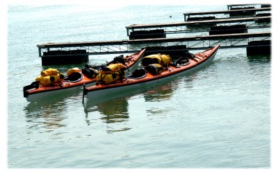 _DSC0203_rescale.jpg