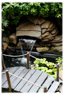 _MG_4009.Pond at TPhuong's house-Toronto