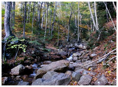 _DSC0265.jpg