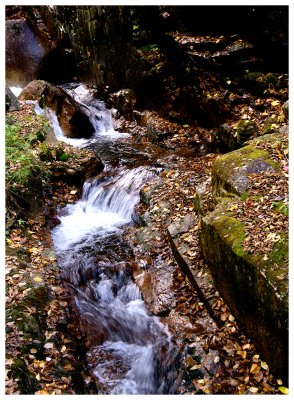 _DSC0174.jpg