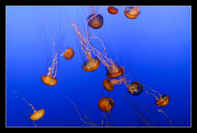 _DSC6666.jpg