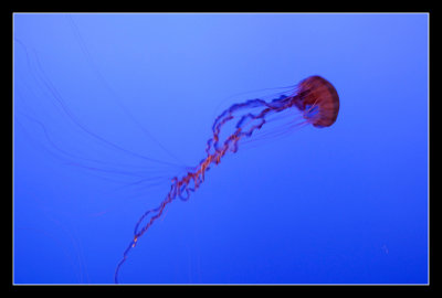 _DSC6674.jpg