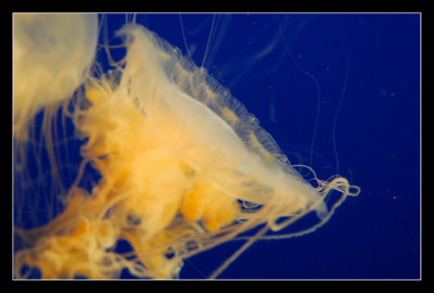 _DSC6683.jpg