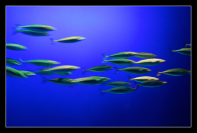_DSC6700.jpg