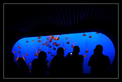 _DSC6718.jpg