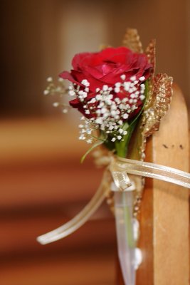 2010-05-22-12-54-56_228_P_R_WE.JPG