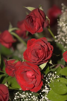 2010-05-22-12-56-11_230_P_R_WE.JPG