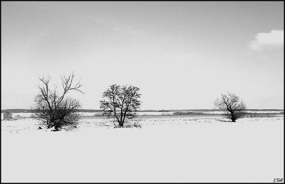 three_mono_white800x516.jpg