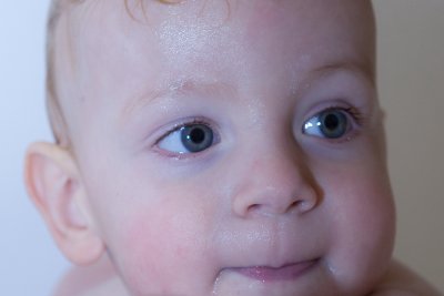 IMG_9529.jpg