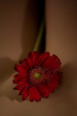 IMG_7245.jpg