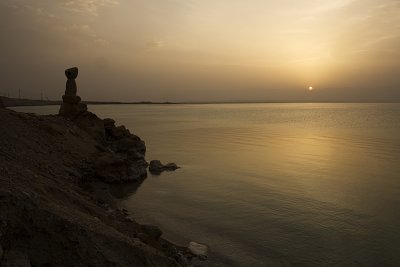 IMG_7464.jpg