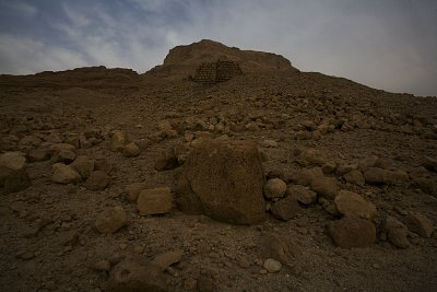IMG_7547.jpg