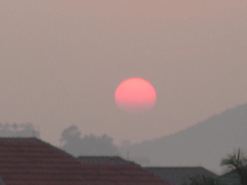 Picture 307.jpg