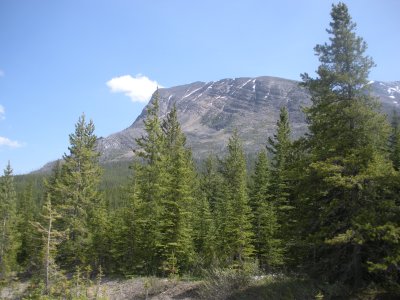 g3/19/573419/3/114661000.4s0UIUn2.jpg