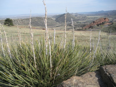 Grasslands stretch out below Red Rocks