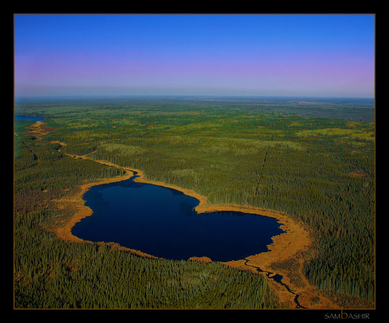 Limpid Pools