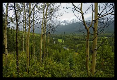 August in Kananaskis