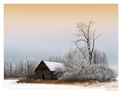 This Old House