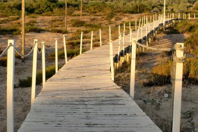 Evening Boardwalk by Abid (photophile)