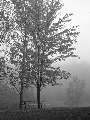 Lonely Benchby Judyjo