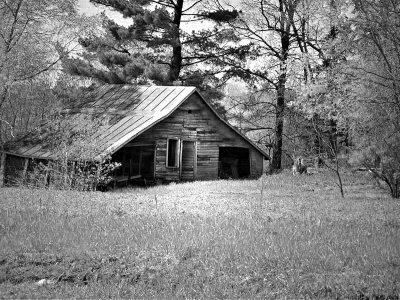 Old Shedby Judyjo