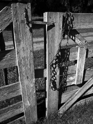 Mary's Fenceby Lois Ann
