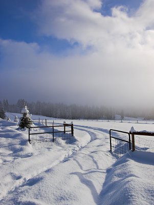 We'll CLose It Next Spring by Sharon Engstrom